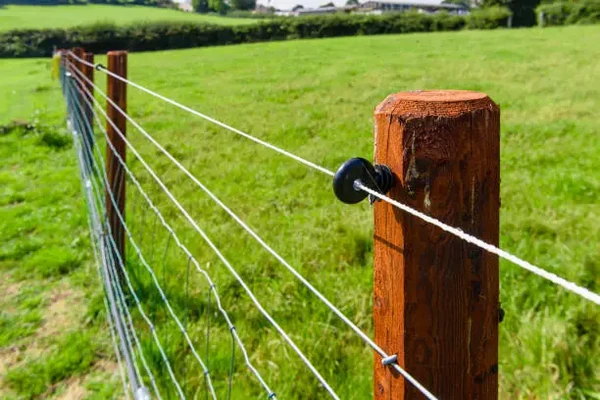 Clôture électrique de pâture pour chevaux avec isolateurs