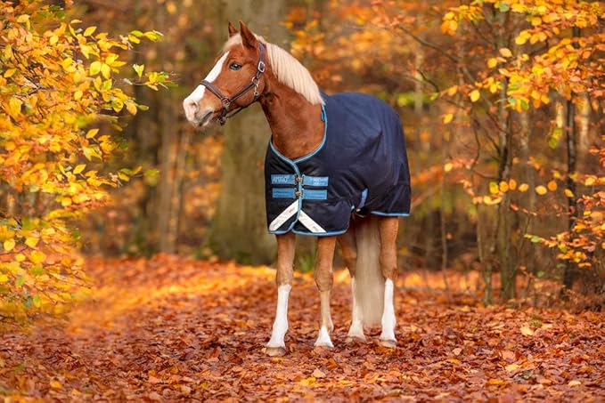 Couverture imperméable pour chevaux en pâture de la marque Horseware
