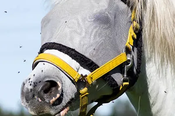 Masque anti-mouches pour cheval